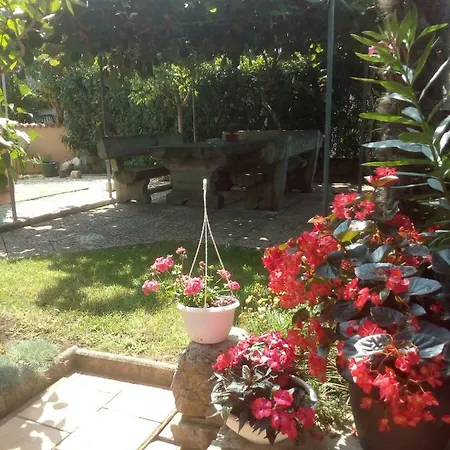 Apartments Sven-Marino Porec Exterior photo